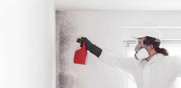 Crawl Space Mold Removal in Grandview, OH