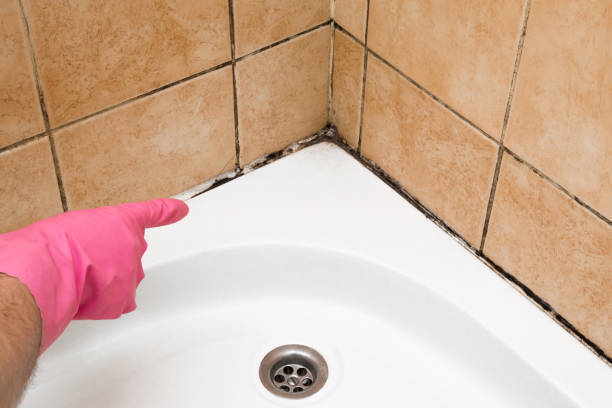 Best Commercial Mold Removal  in Grandview, OH